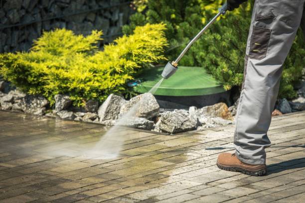 Best Pre-Holiday Cleaning  in Del Rio, TX